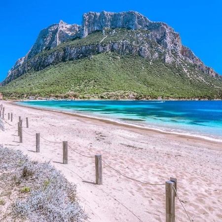 Вилла Casa Di Maria - La Pineta Порто-Сан-Паоло Экстерьер фото
